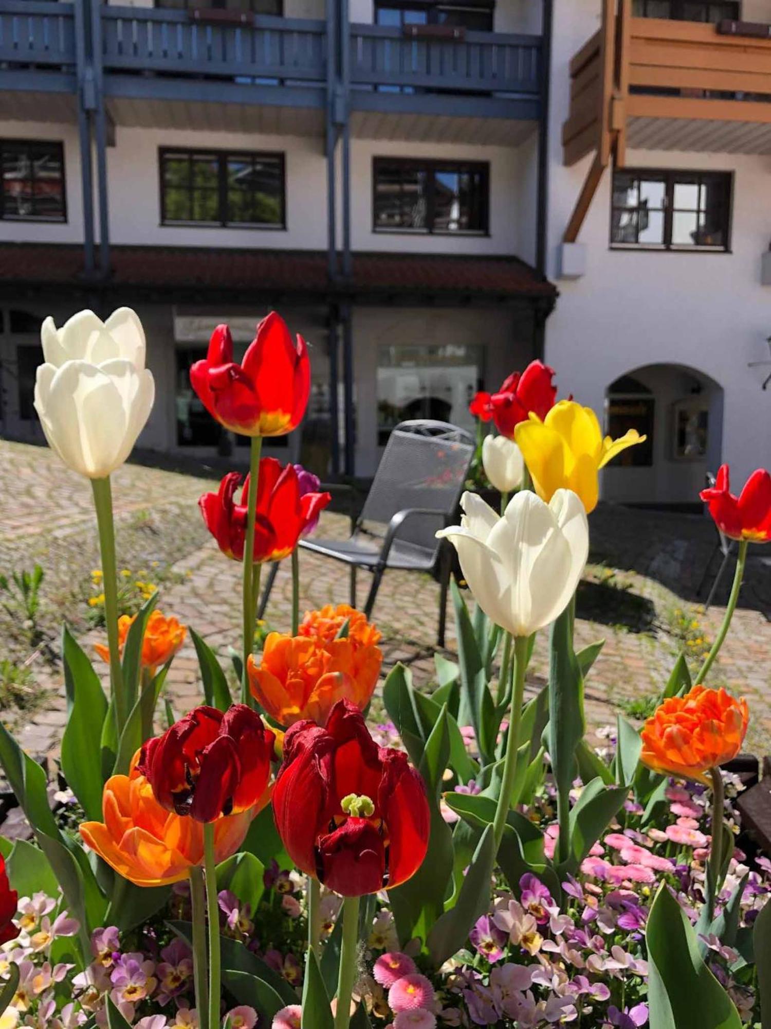 Appartement Am Brunnenplatzl Mit Bademantelzugang Bad Griesbach im Rottal Esterno foto