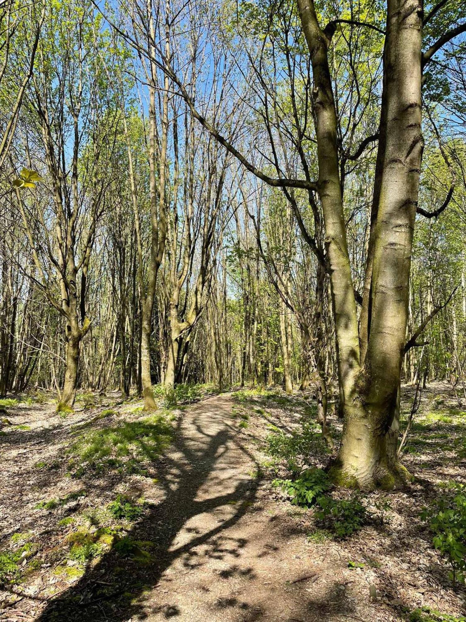 Appartement Am Brunnenplatzl Mit Bademantelzugang Bad Griesbach im Rottal Esterno foto